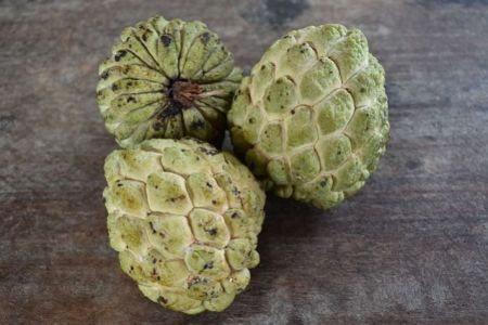 Custard apple