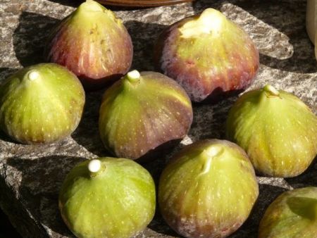 Figs (Fresh Figs)