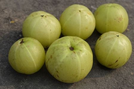 Amla (Gooseberry)